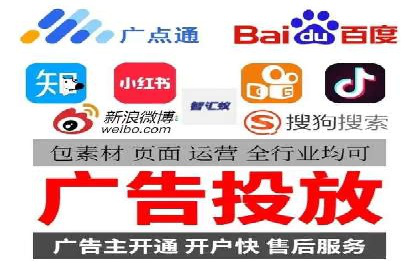 企业SEM服务实战案例解析